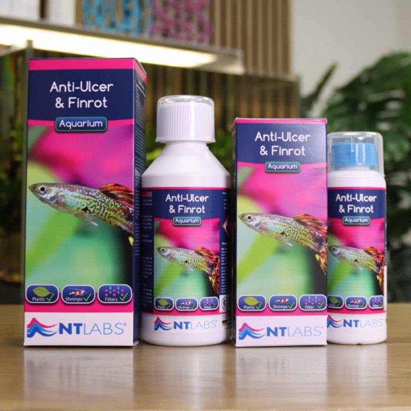 NT Labs Aquarium Anti-Ulcer & Finrot 250ml