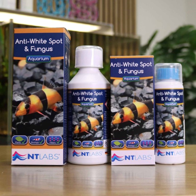 NT Labs Aquarium Anti-White Spot & Fungus 100ml