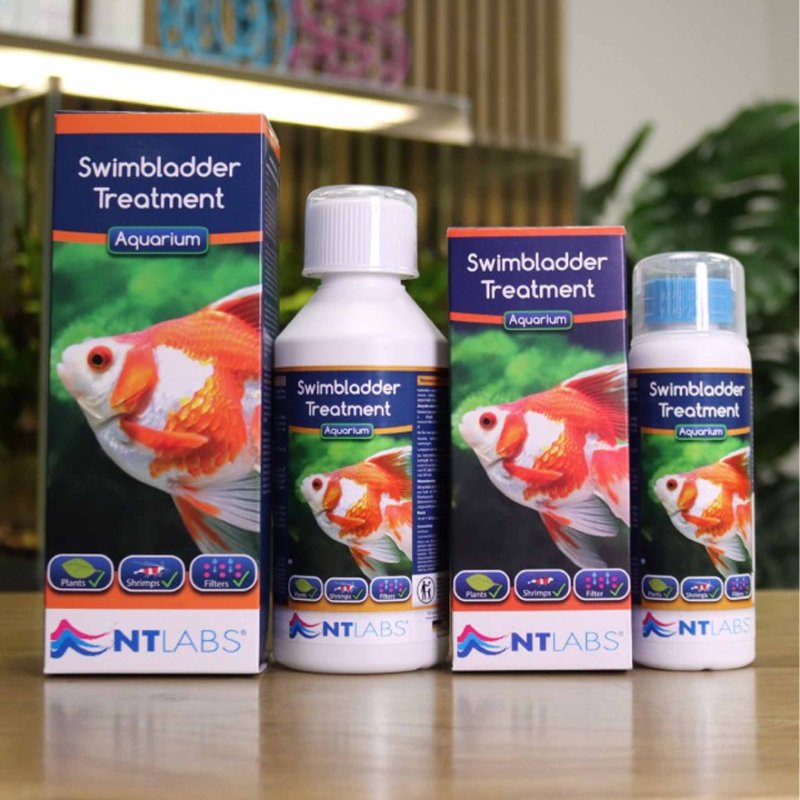 NT Labs Swimbladder Treatment 100ml