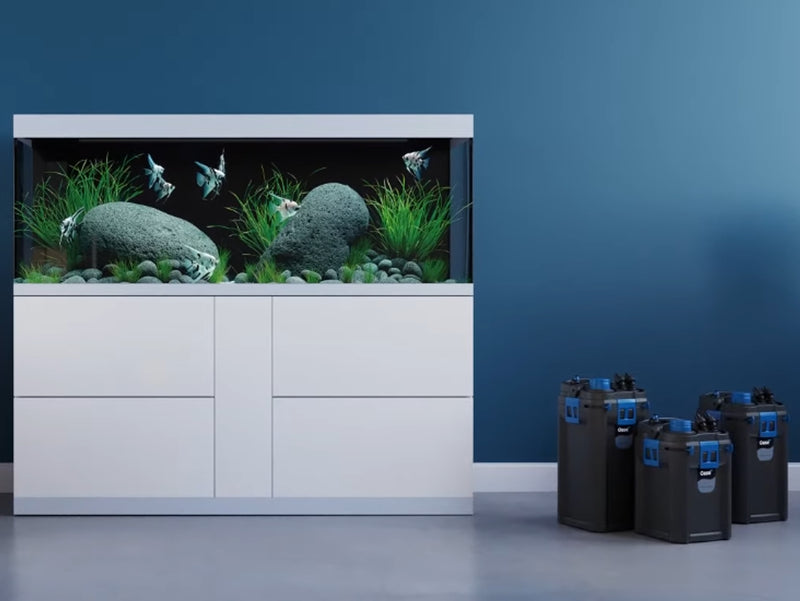 Oase BioMaster 600 Thermo External Filter with Adjustable Heater