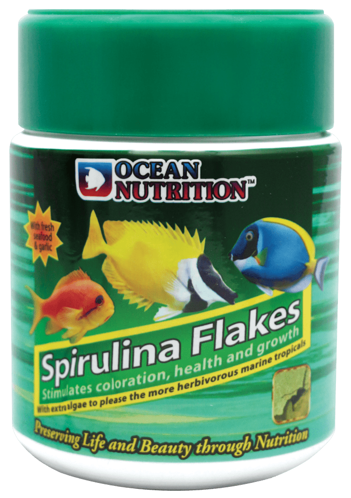Ocean Nutrition Spirulina Flakes 34g – official manufacturer packaging
