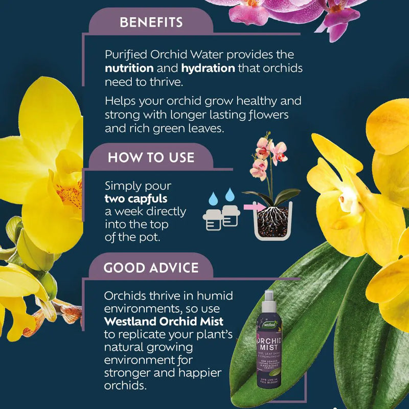 Westland Orchid Water 720ml