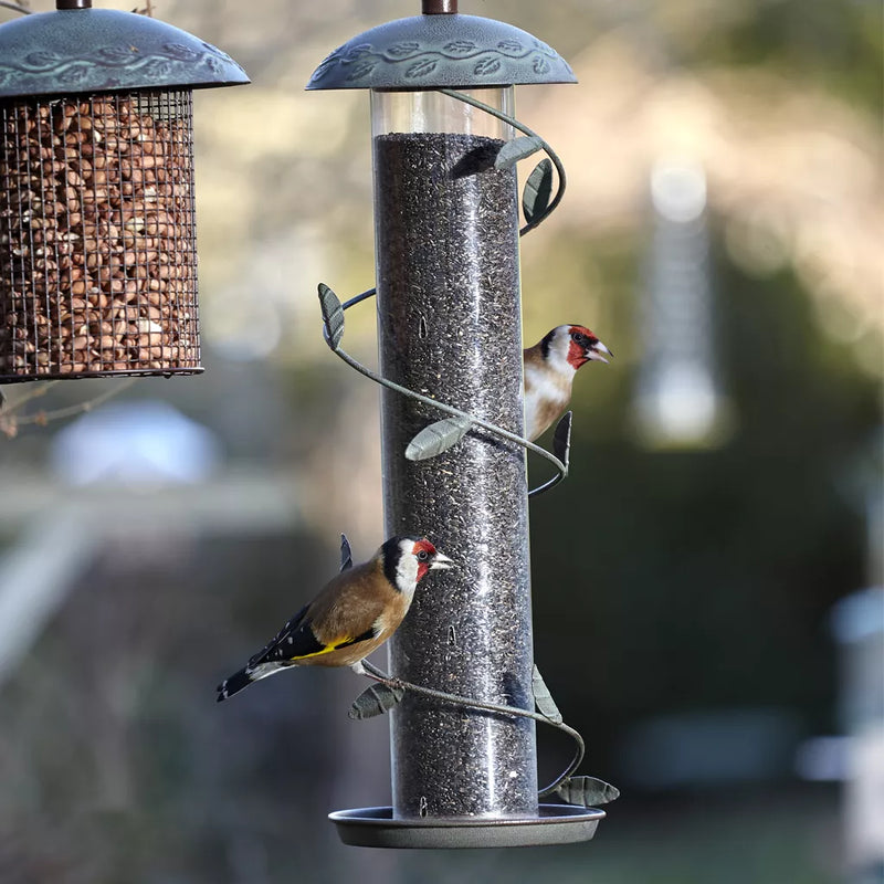 Peckish Nyjer Seed 850g