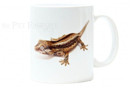 Gargoyle Gecko Mug