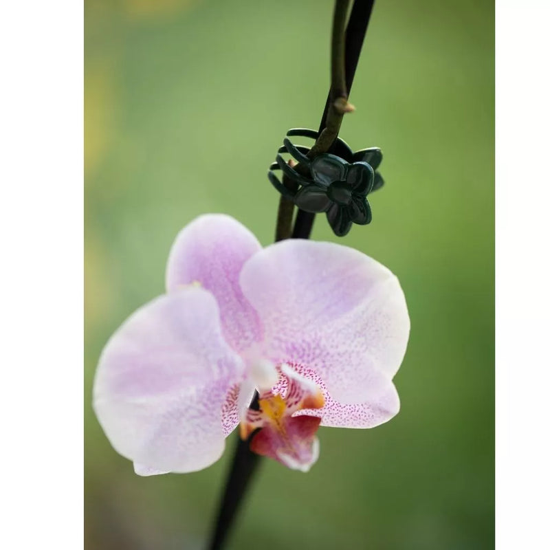 Gardman Plant & Flower Clips 10pk