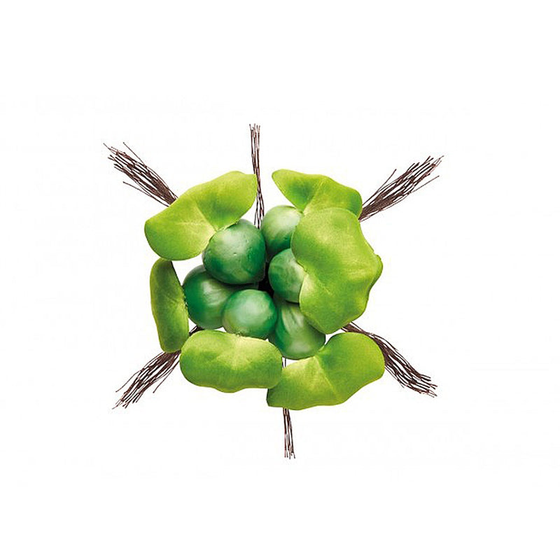 Oase Pontec Pondo Floating Hyacinth 14cm