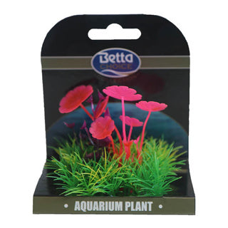 Betta Choice Mini Plant Mat - Pink, Purple, Green