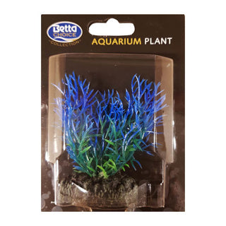 Betta Choice 9cm Blue Fern