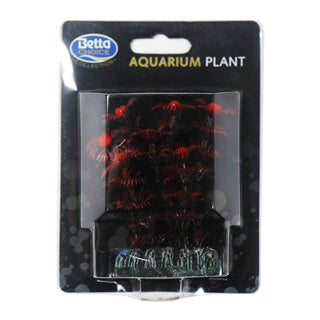 Betta Choice 8cm Black Plant W/ Red Berries