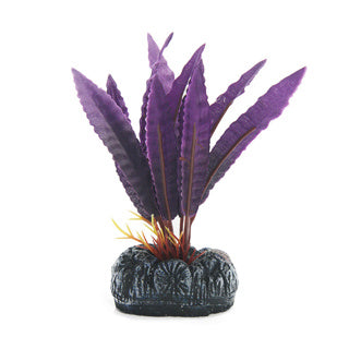 BETTA SILK CRYPTO BALANSAE