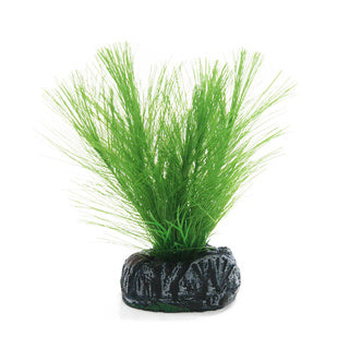 Betta Choice 10cm Silk Green Myriophtllum