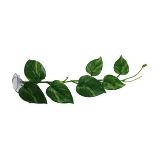Betta Choice Leaves w/ Suction Cup