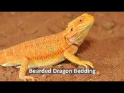 HabiStat Sphagnum Moss