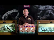 Arcadia 2nd Generation Mini D3 UV Basking Lamp 80 Watts — official Arcadia product demonstration