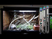 Arcadia Pro T5 UVB Kit Forest 6% UVB 39 Watt — official Arcadia product demonstration