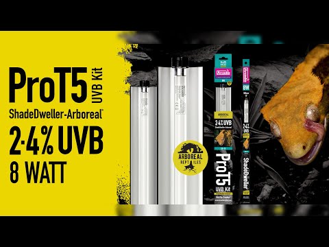 Arcadia Shadedweller Arboreal 2.4% 8 Watts — official Arcadia product demonstration