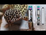 Arcadia ShadeDweller UV Lamp, 8 Watt — supplier video 3