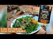 Arcadia Earth Pro Dragon Fuel 125g — official Arcadia product demonstration