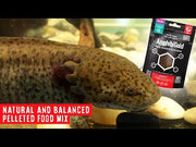 Arcadia Earth Pro AmphibiGold — supplier video