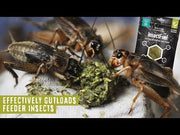 Arcadia Earth Pro Insect Fuel 50g — official Arcadia product demonstration