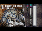 Arcadia ShadeDweller 2.5% UV Lamp 14 Watt — official Arcadia product demonstration