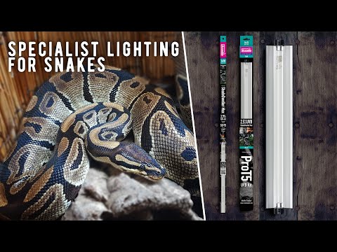 Arcadia ShadeDweller 2.5% UV Lamp 14 Watt — official Arcadia product demonstration