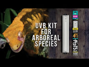 Arcadia ShadeDweller UV Lamp, 8 Watt — supplier video 1