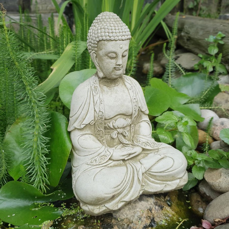 Buddha Tang 29cm BD36