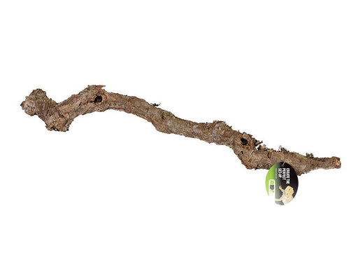 ProRep Cork Oak Branch 40 to 60cm