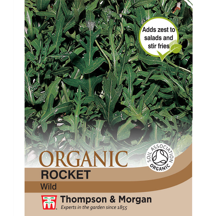 Herb Rocket Wild Organic