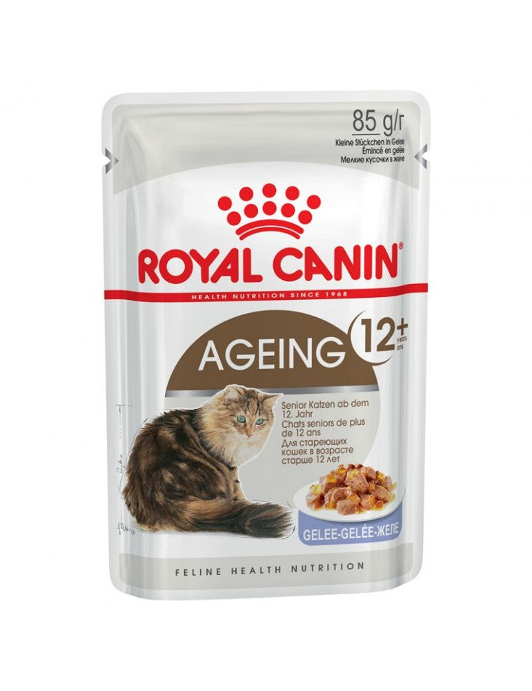 Royal Canin Ageing 12+ Jelly Senior Cat Food (Joint & Kidney) - 85g