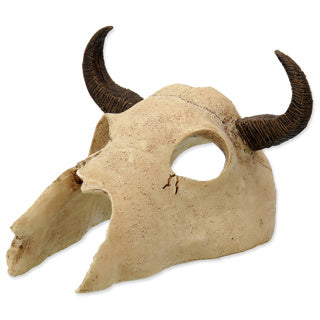 Repti Planet Buffalo Skull (12.5 × 11.8 × 8 cm)