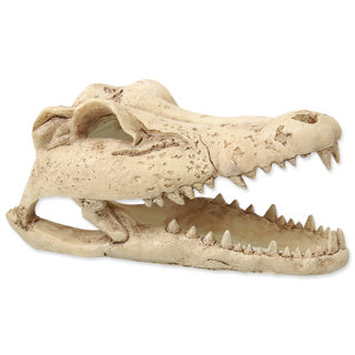 Repti Planet Crocodile Skull (13.8 x 8.6 x 5 cm)
