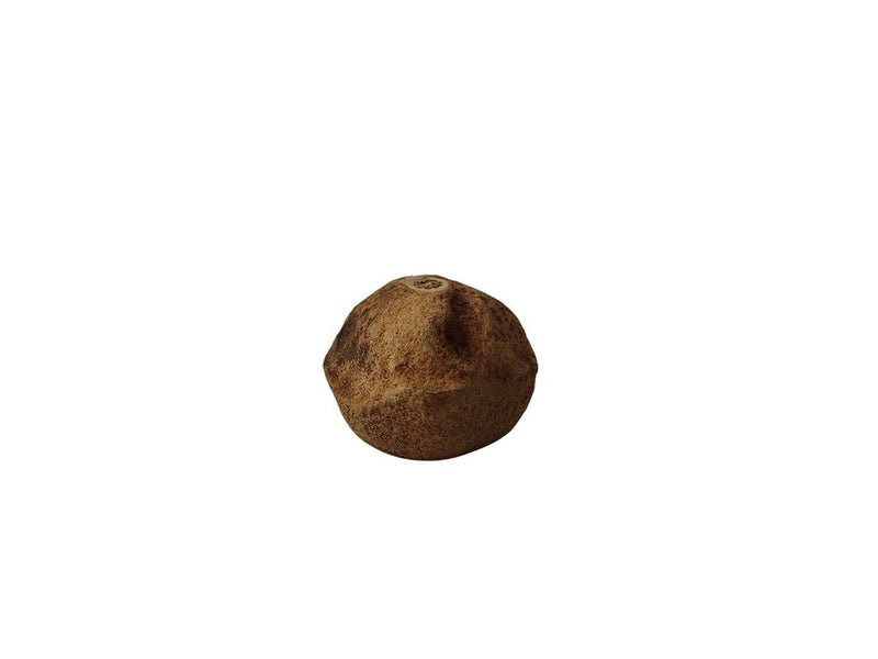 Sapucaia Pods XL