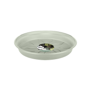 Elho Green Basics Saucer range – additional product view