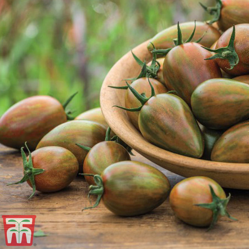 Tomato 'Shimmer' F1 Hybrid