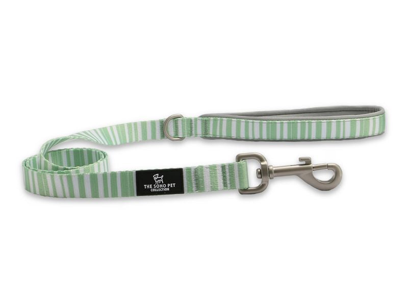 Ancol Soho Nylon Lead Stripe 19mm x 1m