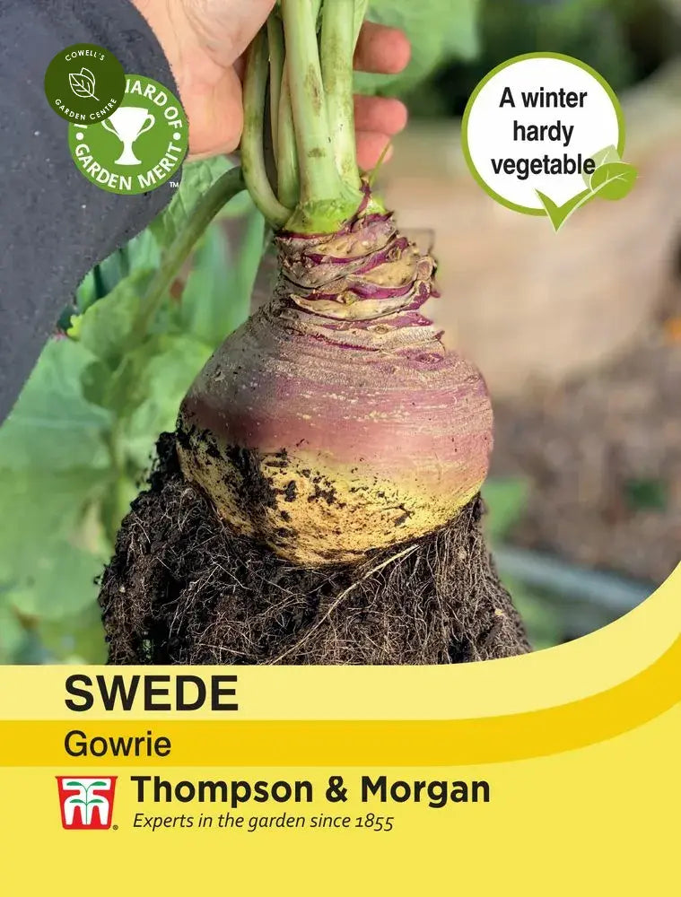 Swede Gowrie