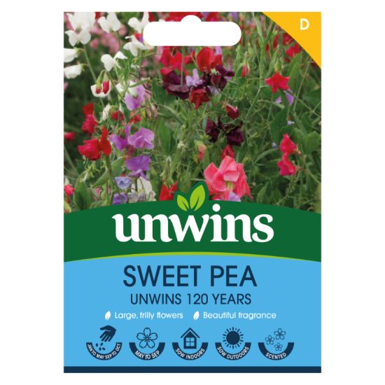 Sweet Pea Unwins 120 Years Mix Flower