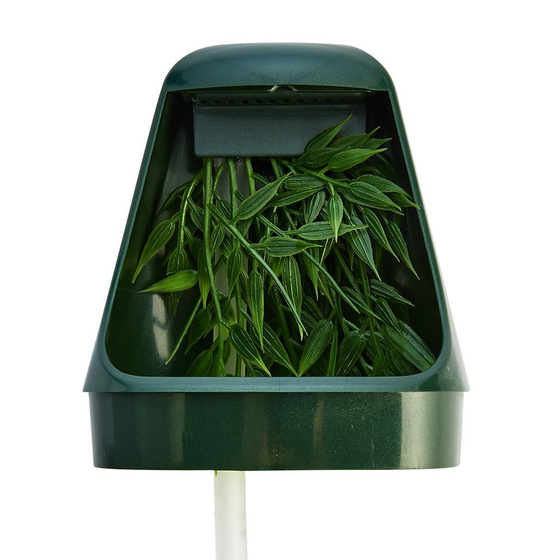 Komodo Fountain & Humidifier