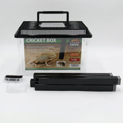 Terra Exotica Cricket Keeper Box - Large