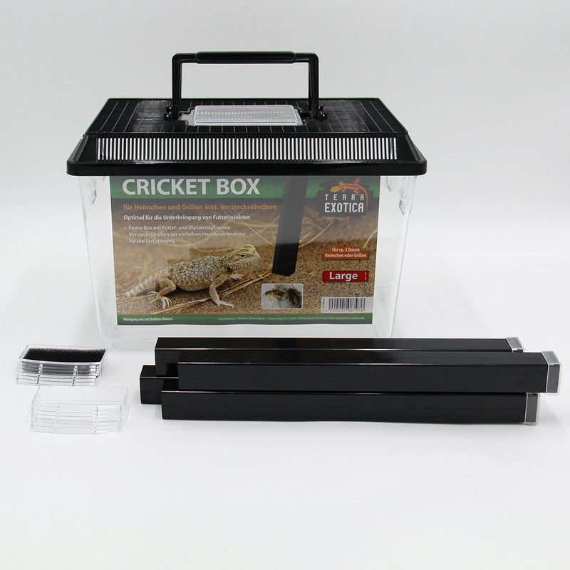 Terra Exotica Cricket Keeper Box - Large