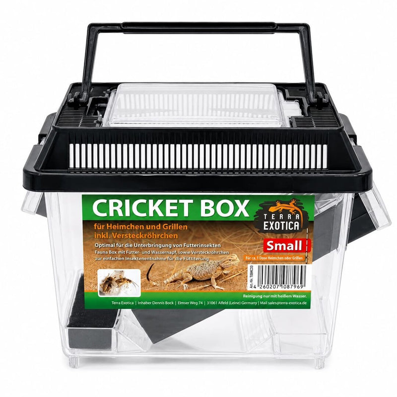 Terra Exotica Cricket Keeper Box - Small