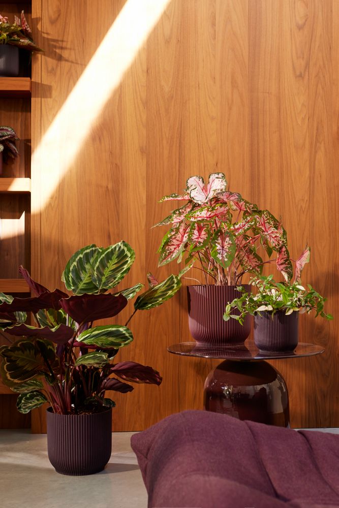 Elho The Winery Collection Round range – range lifestyle inspiration