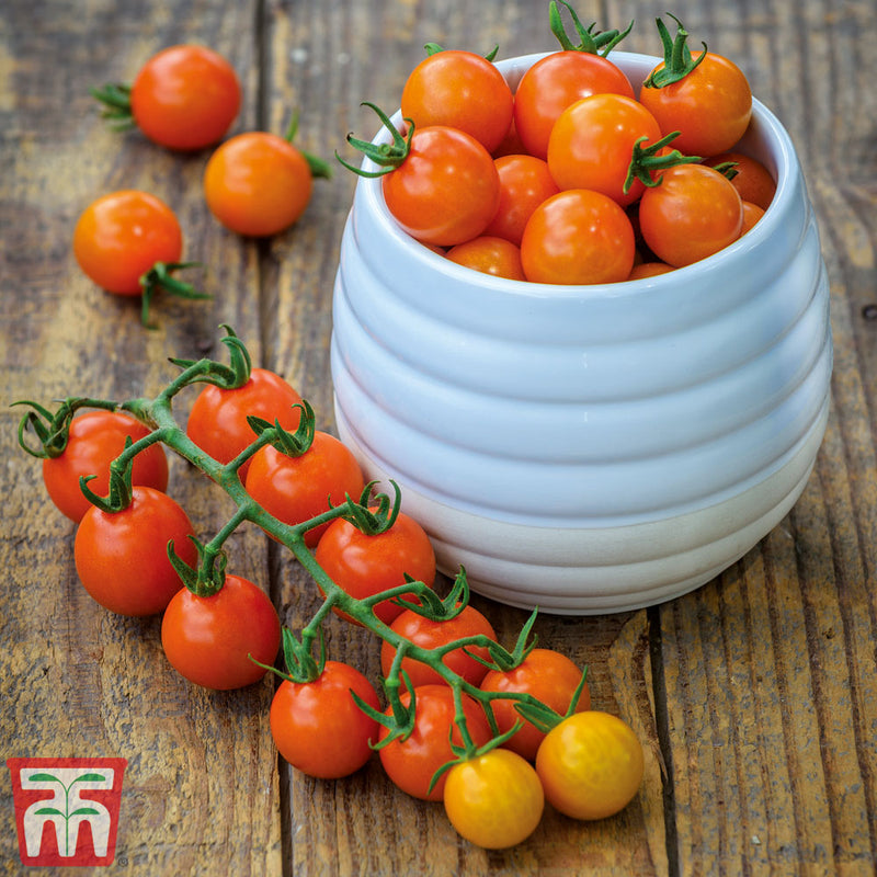 Tomato 'Honeycomb'