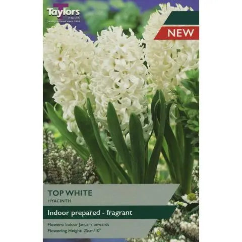 Hyacinth Top White 16-17 Prep P/P