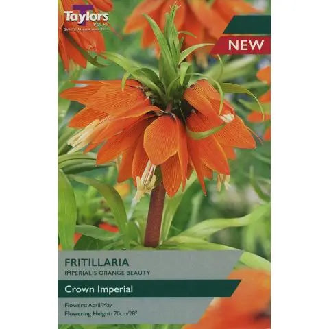 Fritillaria Imperialis 'Orange Beauty' (1 per Pack)