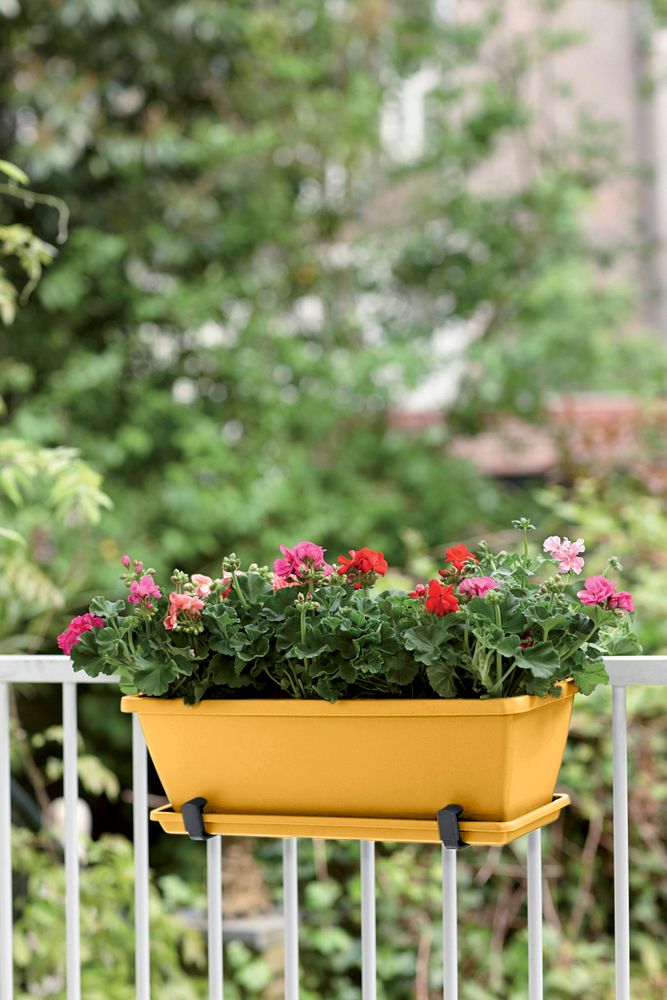 Elho Barcelona Trough 50cm Honey Yellow – additional product view