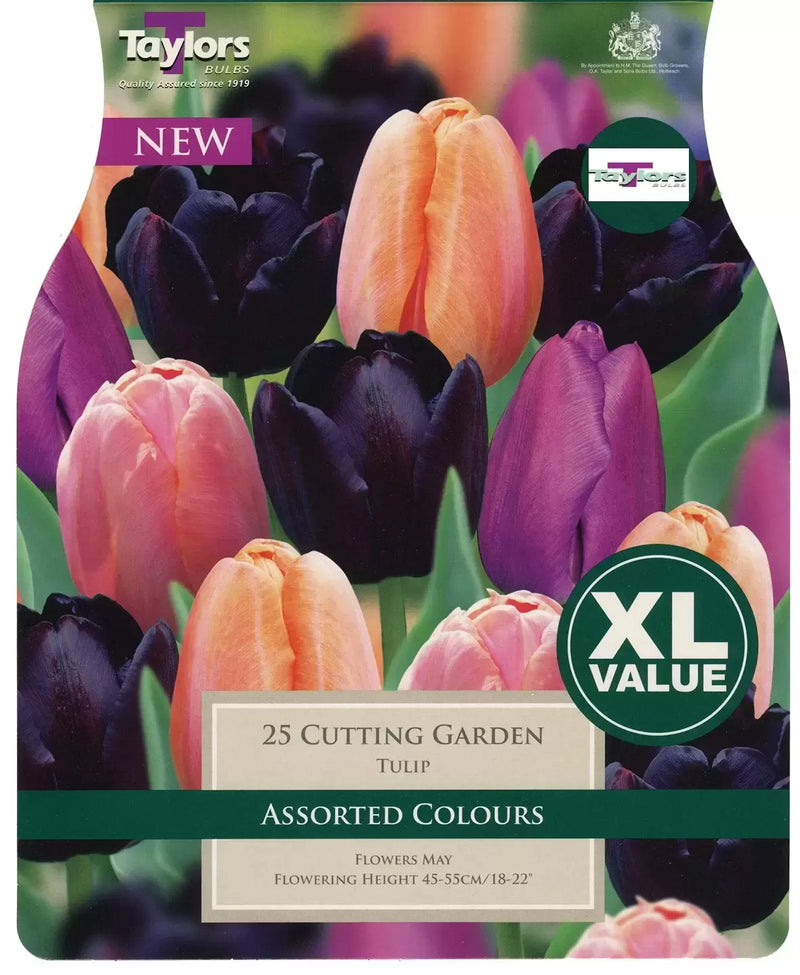 Tulip Cutting Garden XL (12 Bulbs Per Pack)