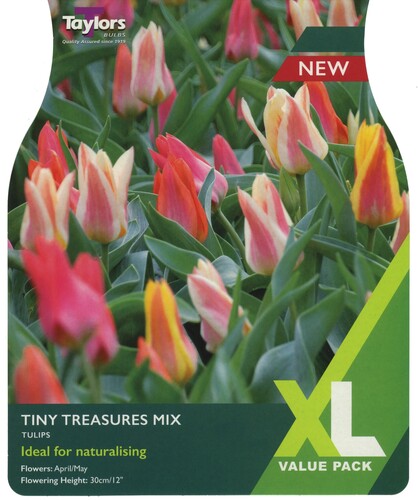 Tulip Tiny Treasures Mix (18 pack)